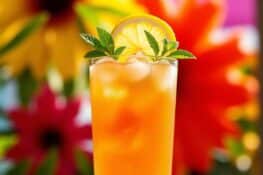 arnold palmer drink recipe